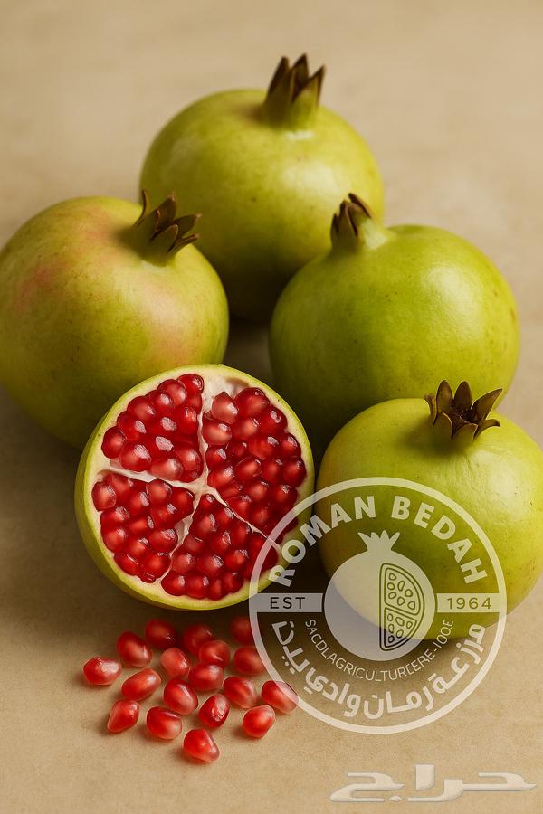 رمان بيده الباحة64423689914497111