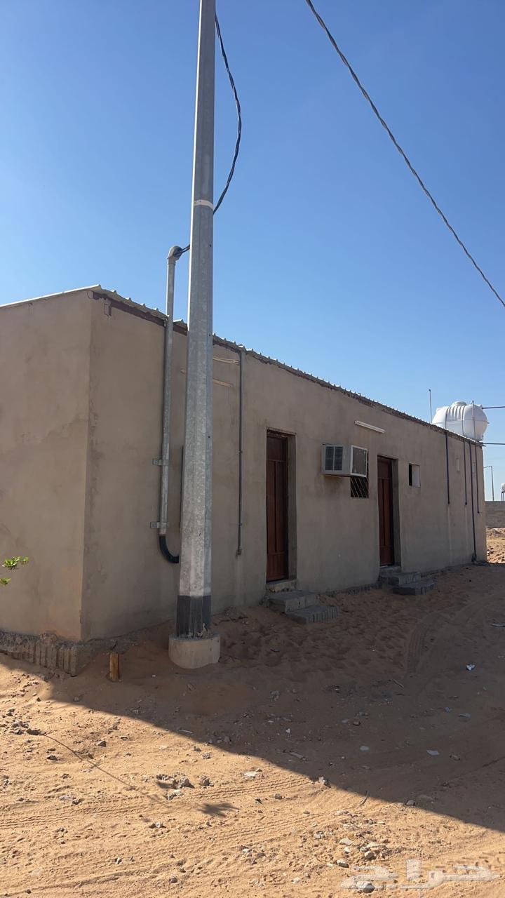 لللبيع شبك غنم جاهز في سوق البل وادي الدواسر64421906348291111