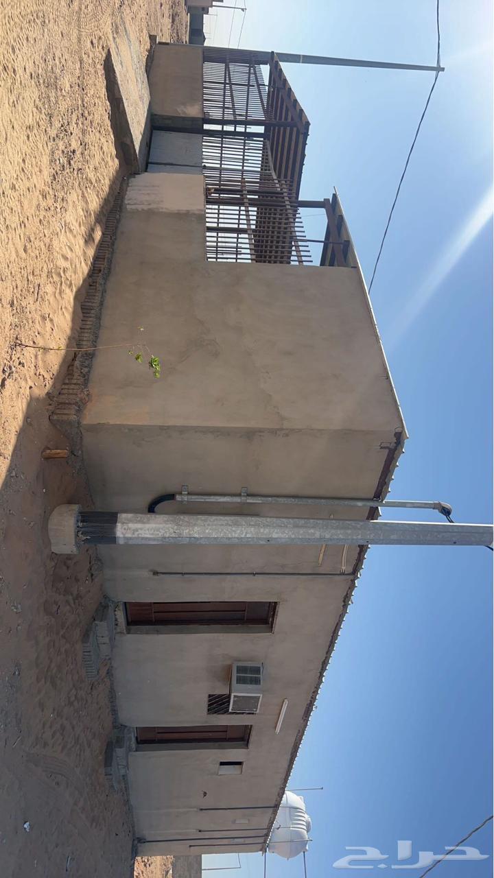 لللبيع شبك غنم جاهز في سوق البل وادي الدواسر64421906348291112