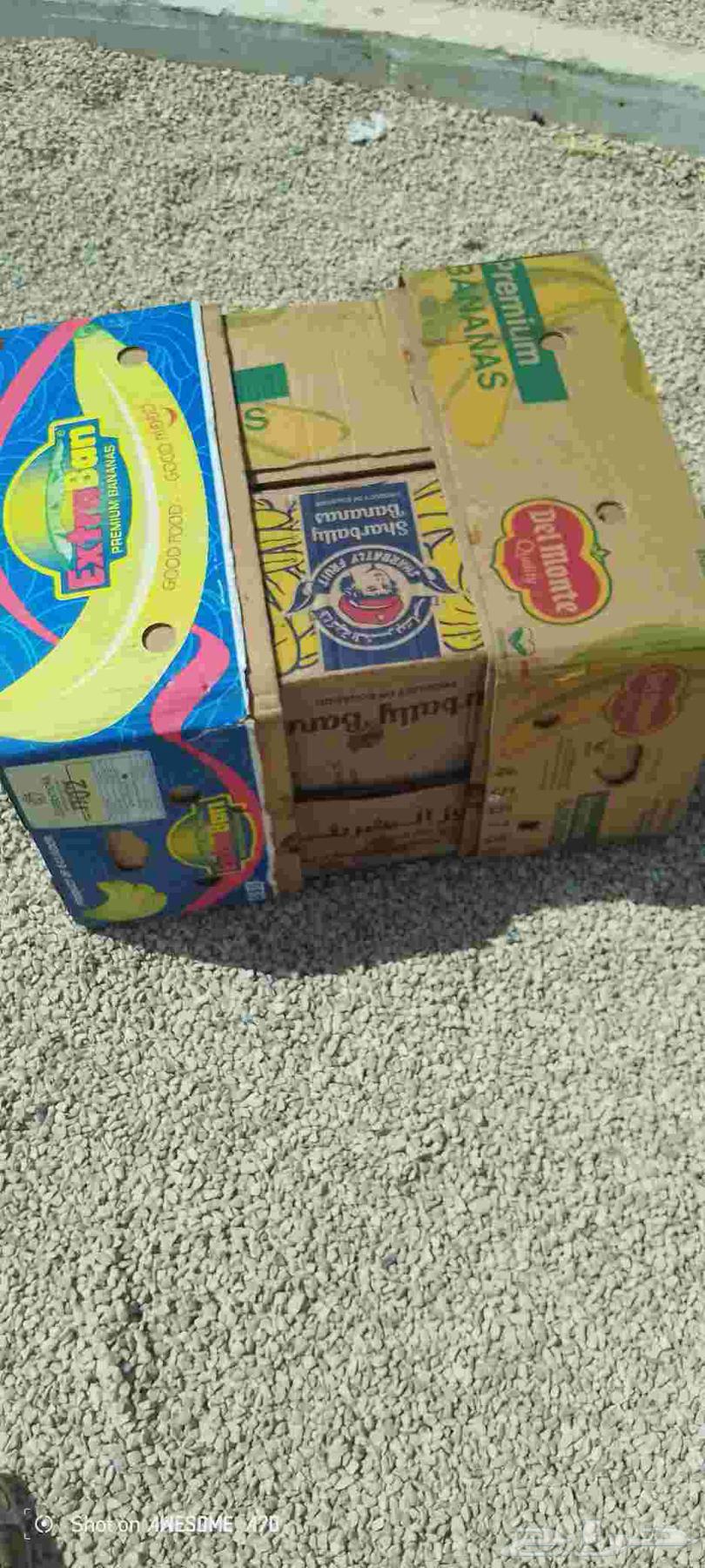 Empty banana carton, location Al-Kharj, price 364422273364737111