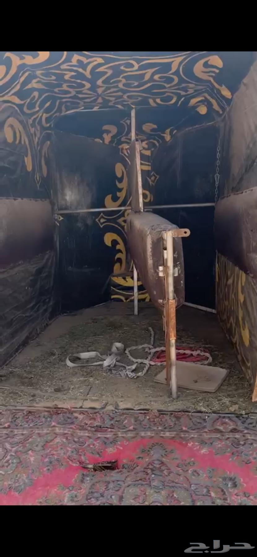 Local Racing Cart64423944410241111