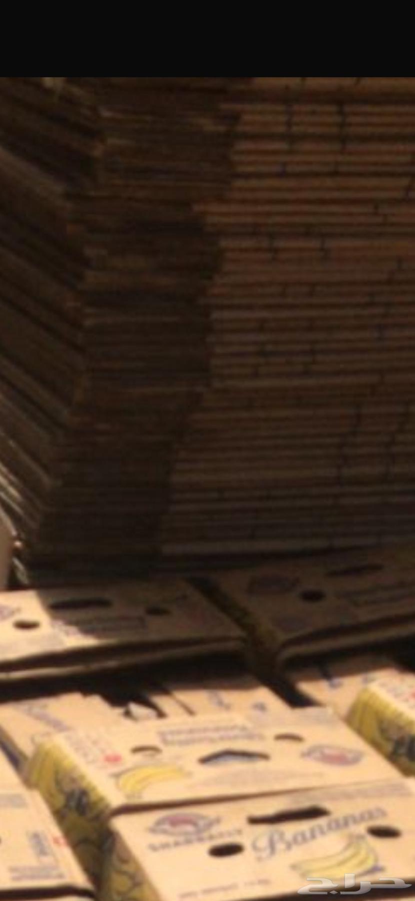 Empty egg cartons64420135528835111