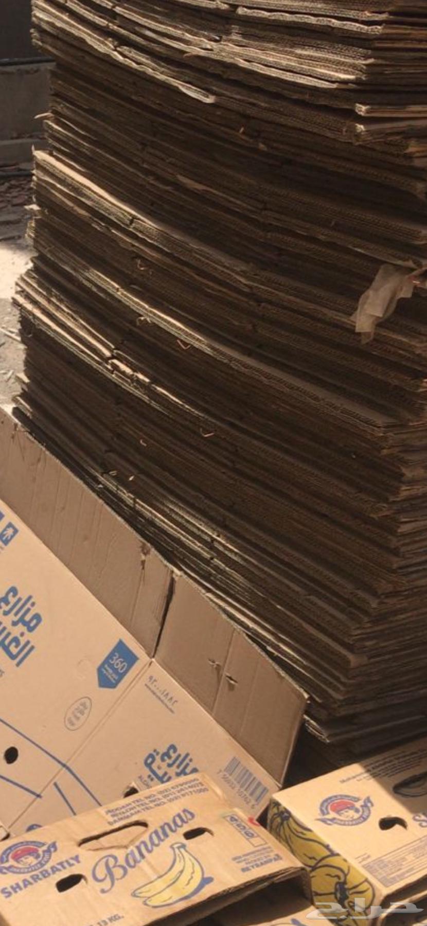 Empty egg cartons64420135528835110