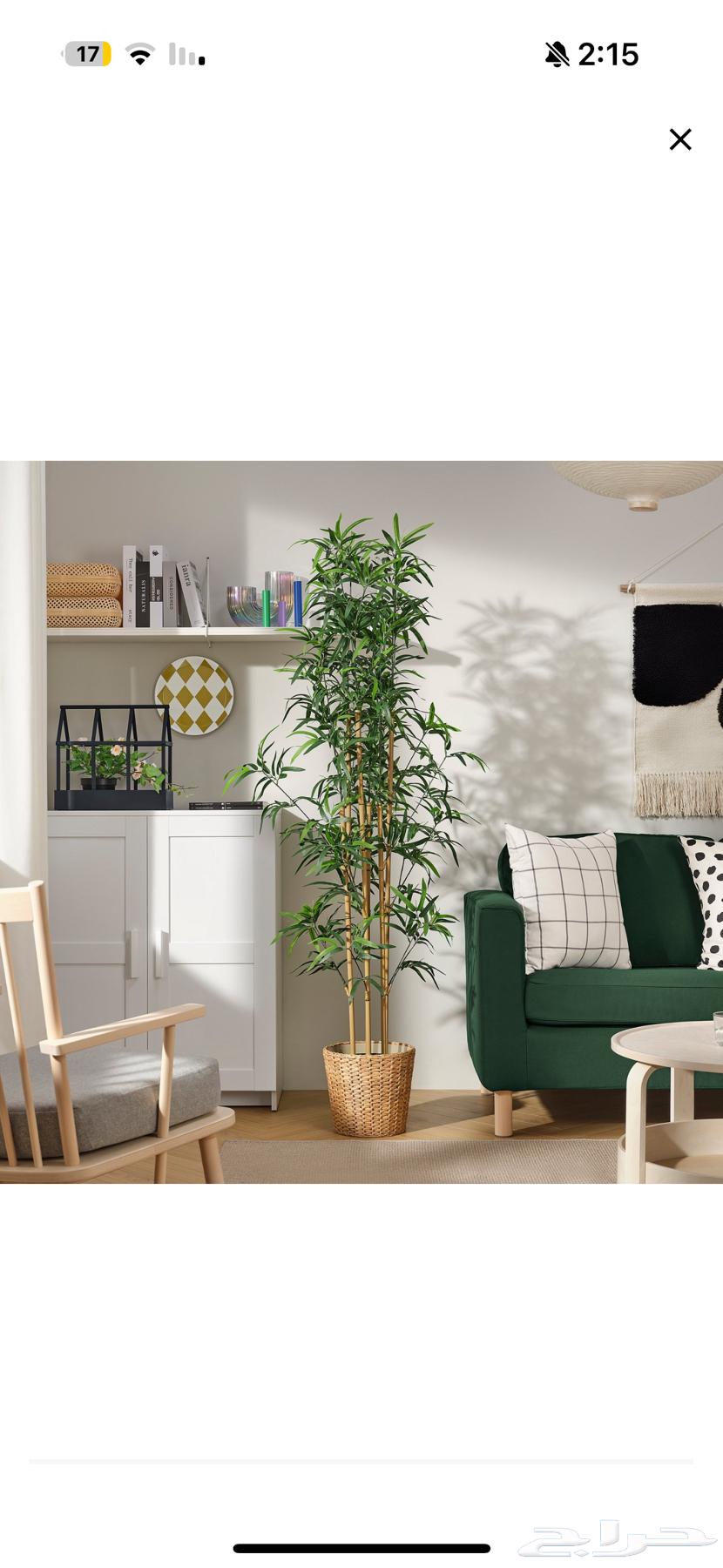 A tall tree64419784478083110