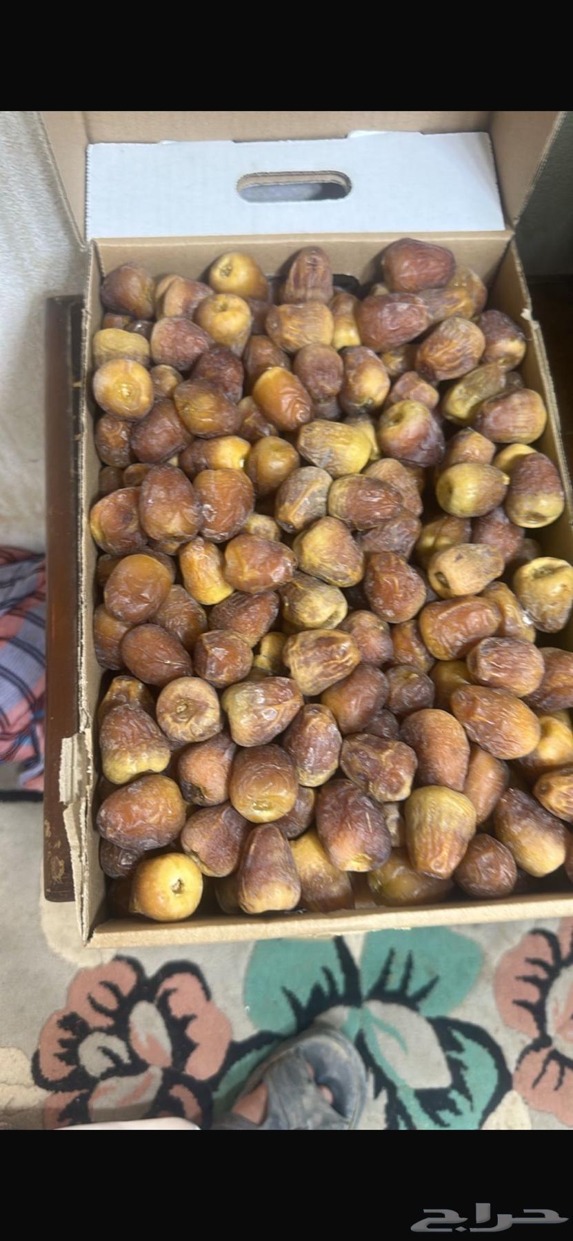 Sugar Dates64420526306435110