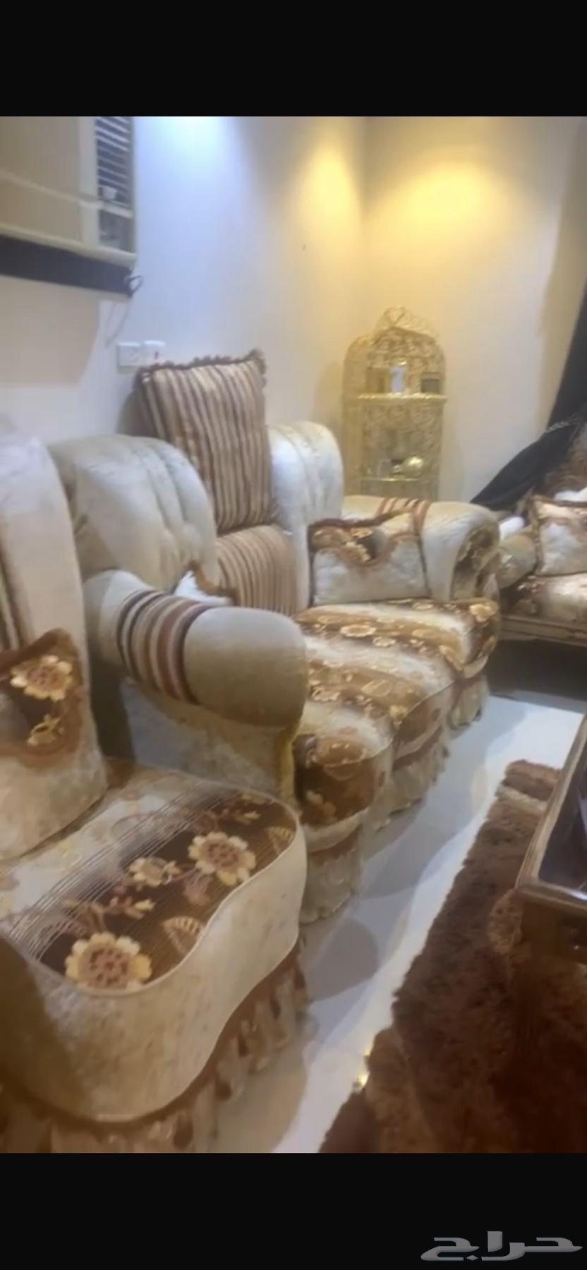 كنب ملكي كبير ونظيف64420350884739111