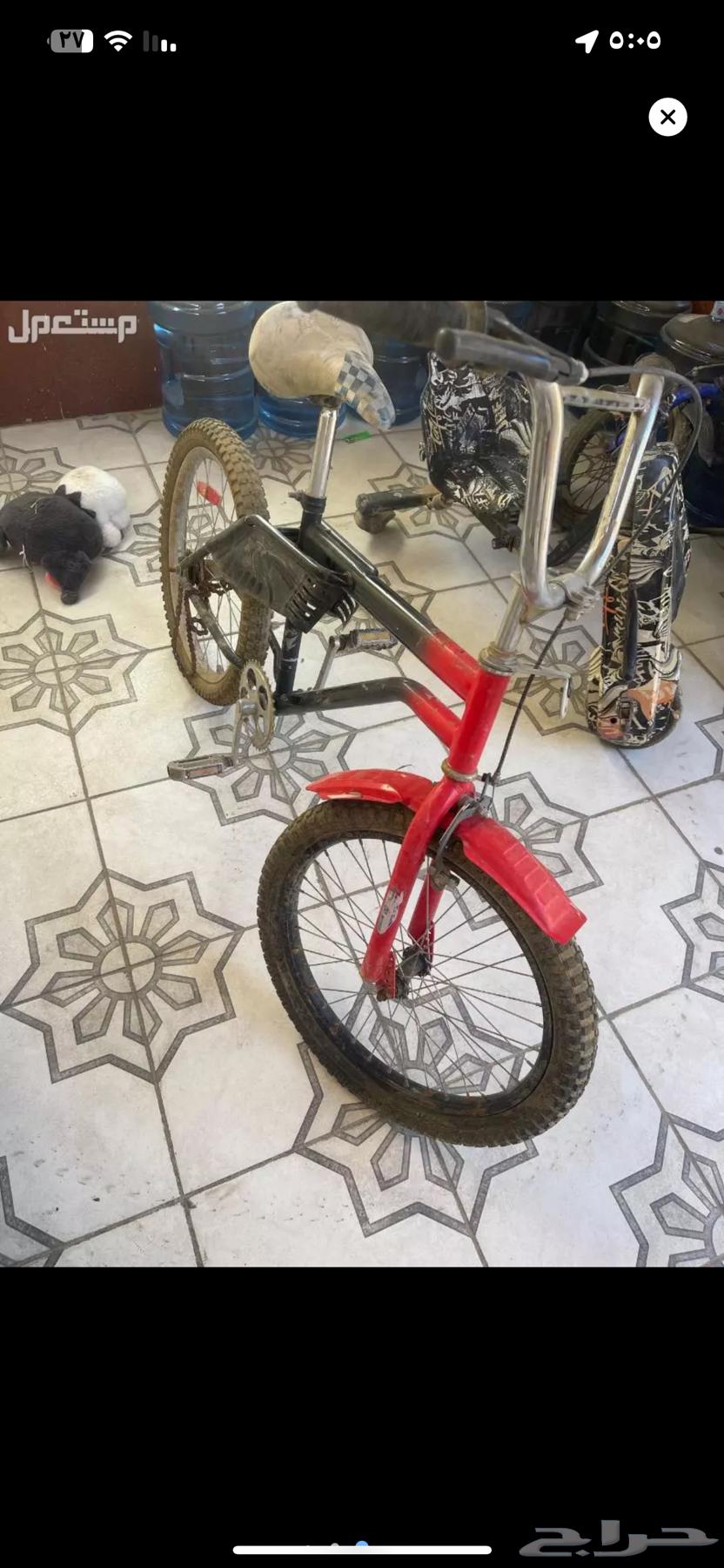 سيكل رامبو للبيع64423556219009110