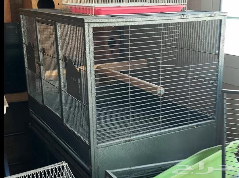 Cages for sale, production cages for large birds such as macaws, Amazons, and cockatoos64423324243971112