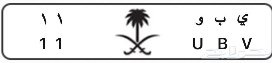 لوحة مميزة رقم 11 للبيع64586948545281111