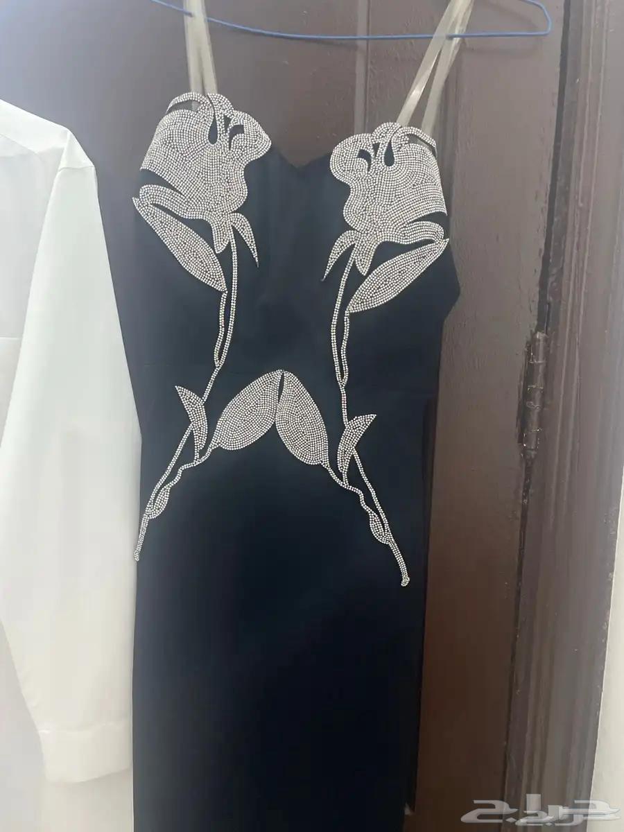 فسان سهرا جديد نضيف ليسه مرا اتواصل واتس64422286656642110