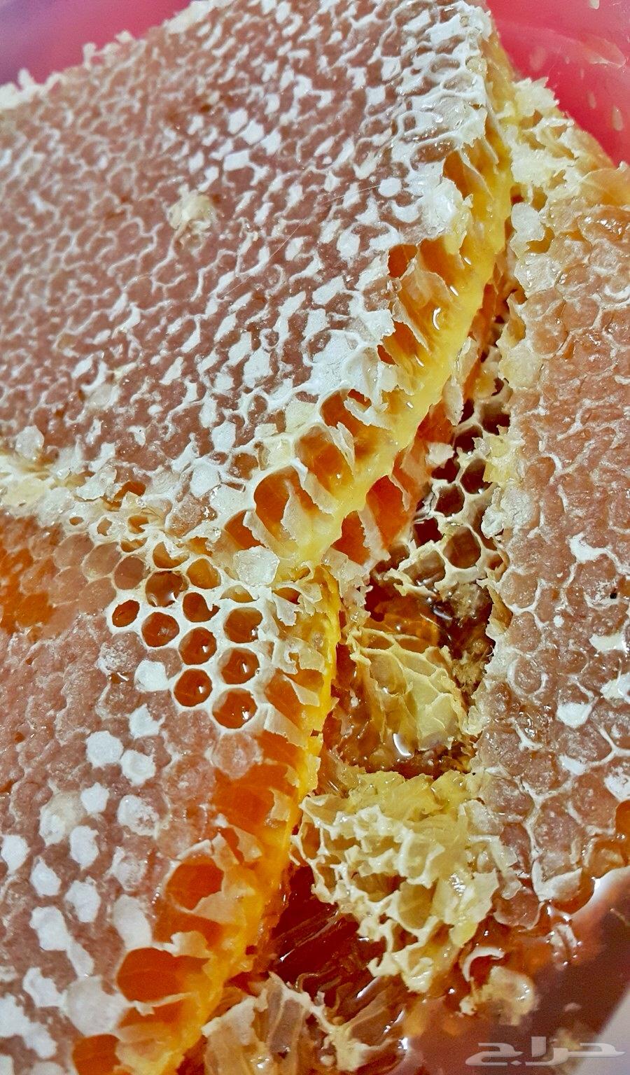 عسل سدره وسمره وطلحه وغذاء المكات وغيرها اصلي ومضمون64421310167042112