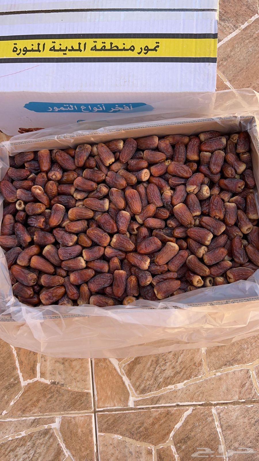 اعرض لكم تمر برني العيص السنه هاذي64422881277699112