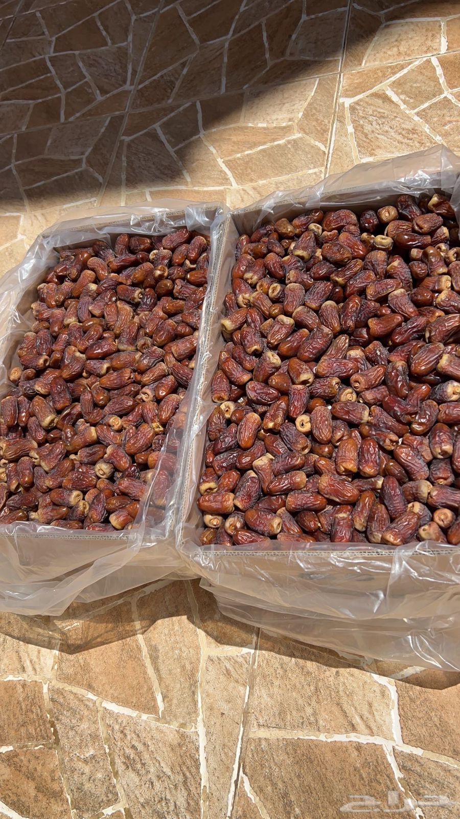 اعرض لكم تمر برني العيص السنه هاذي64422881277699110