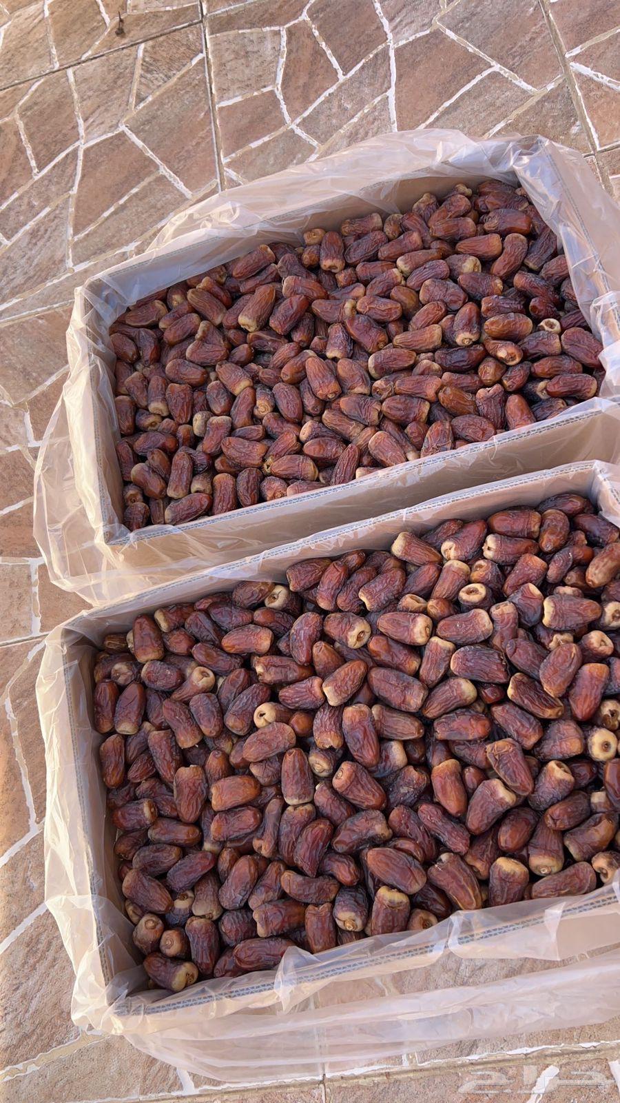 اعرض لكم تمر برني العيص السنه هاذي64422881277699111