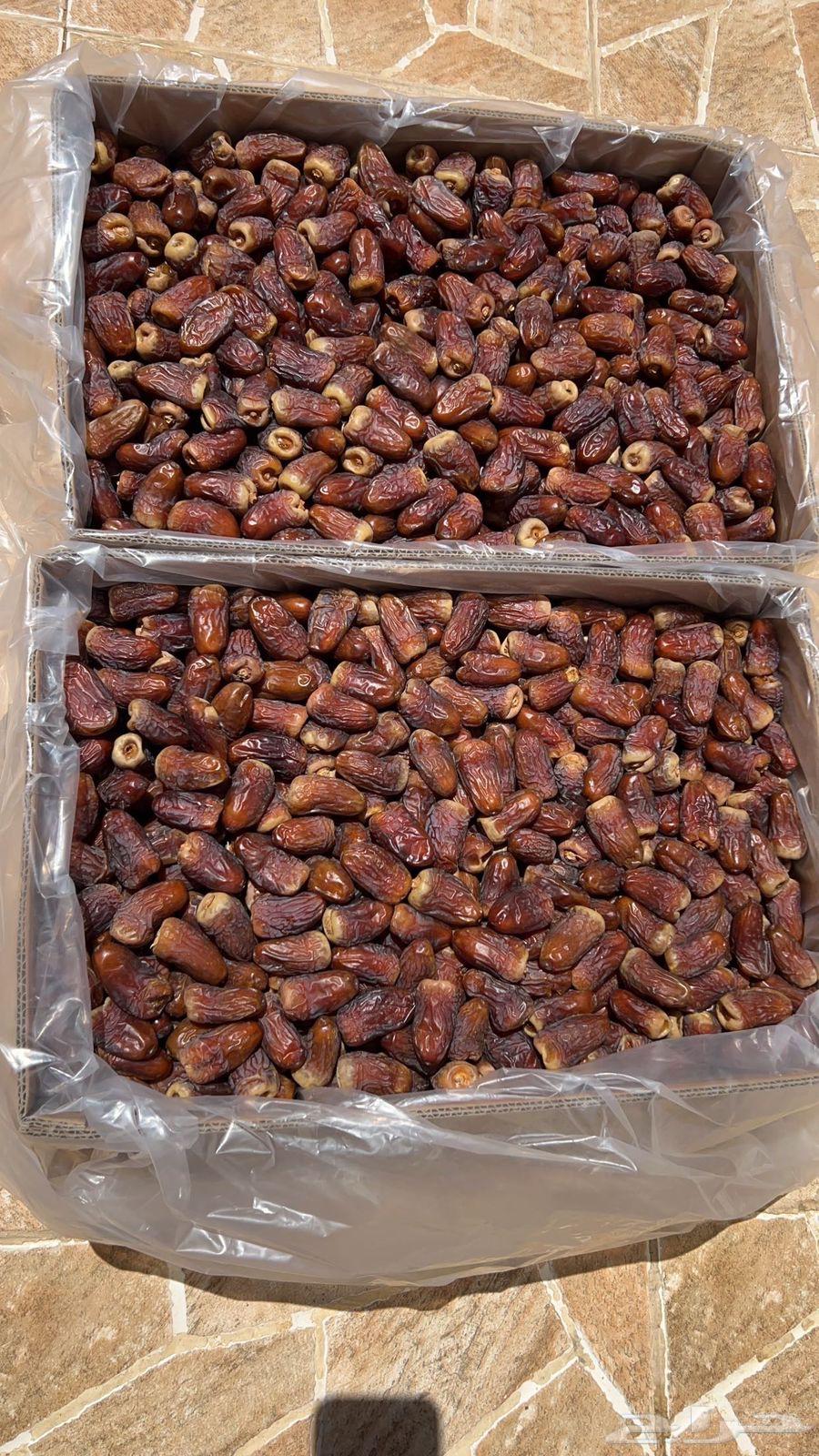 اعرض لكم تمر برني العيص السنه هاذي64422881277699113