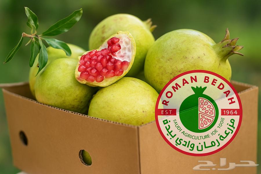 رمان بيده الباحة64423689914497112