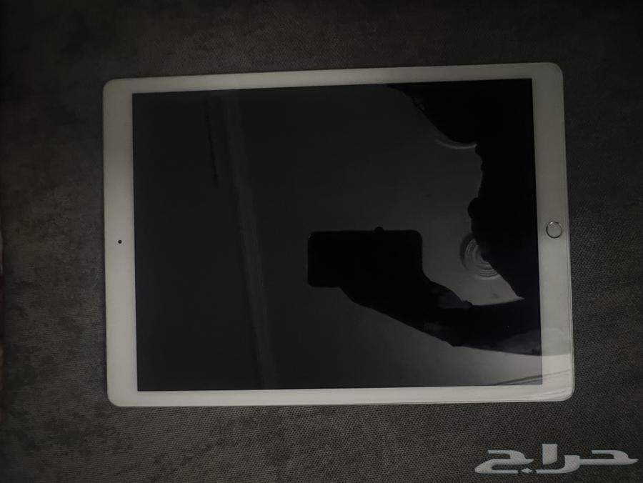 iPad Pro 256 GB, clean condition with only a minor scratch on the side64421013301251111
