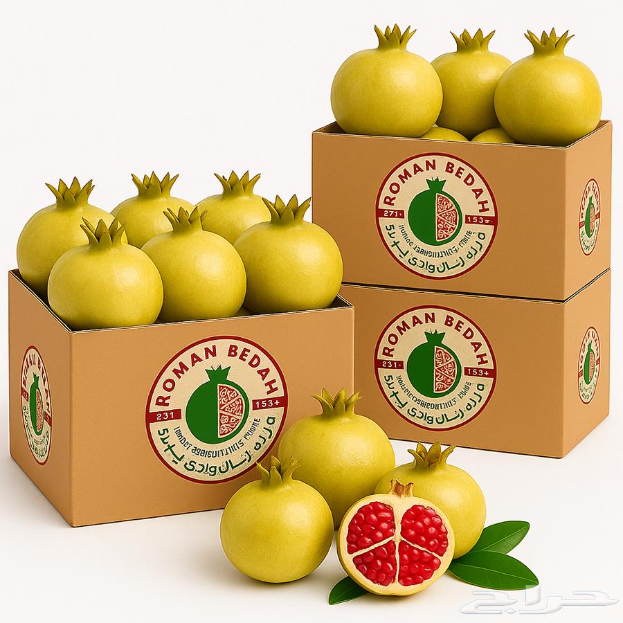 رمان بيده الباحة64423689914497110