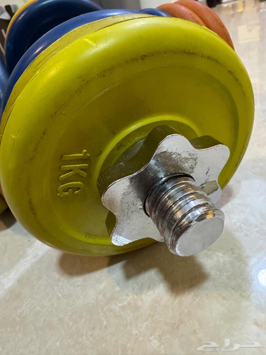 Weights and Exercise Bench for Sale64424882788610114