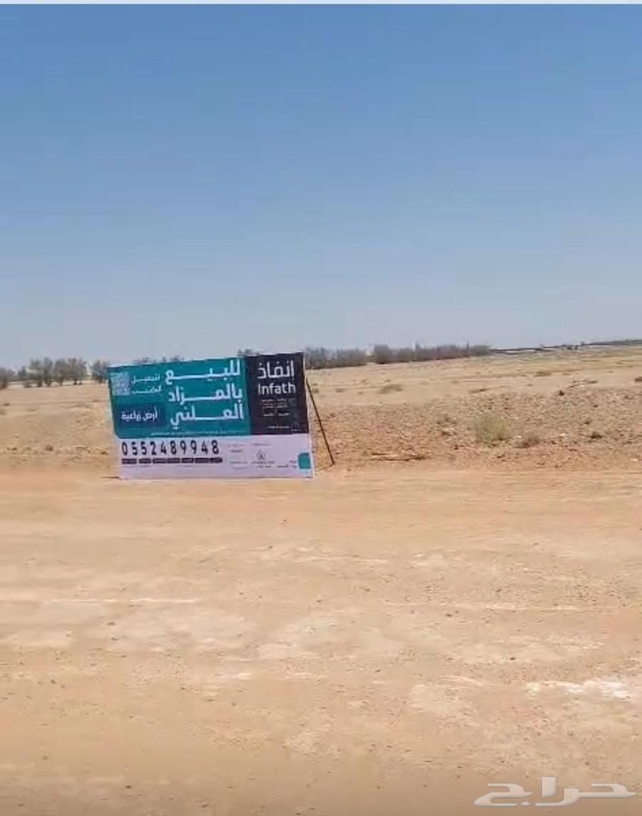 مزاد خيرات القصيم64427516372226112