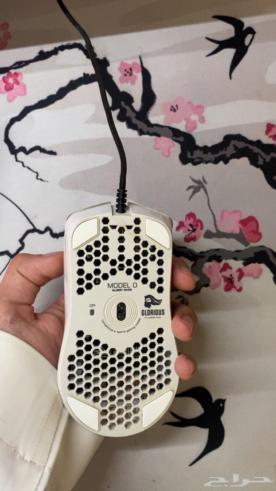 ماوس قلوريوس64428657550977112