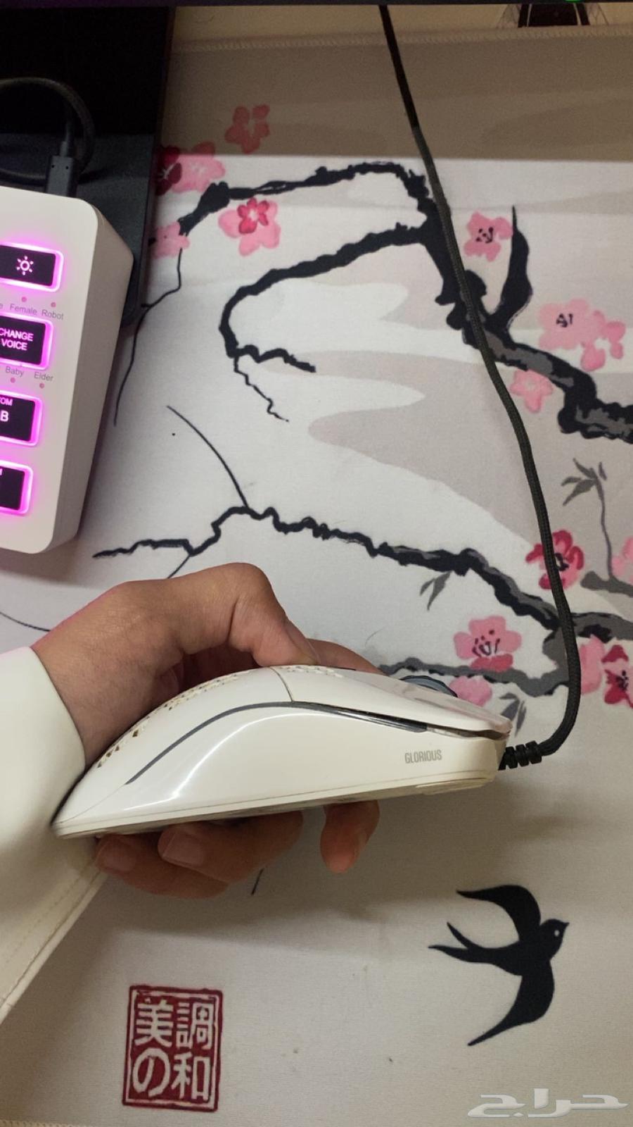 ماوس قلوريوس64428657550977113