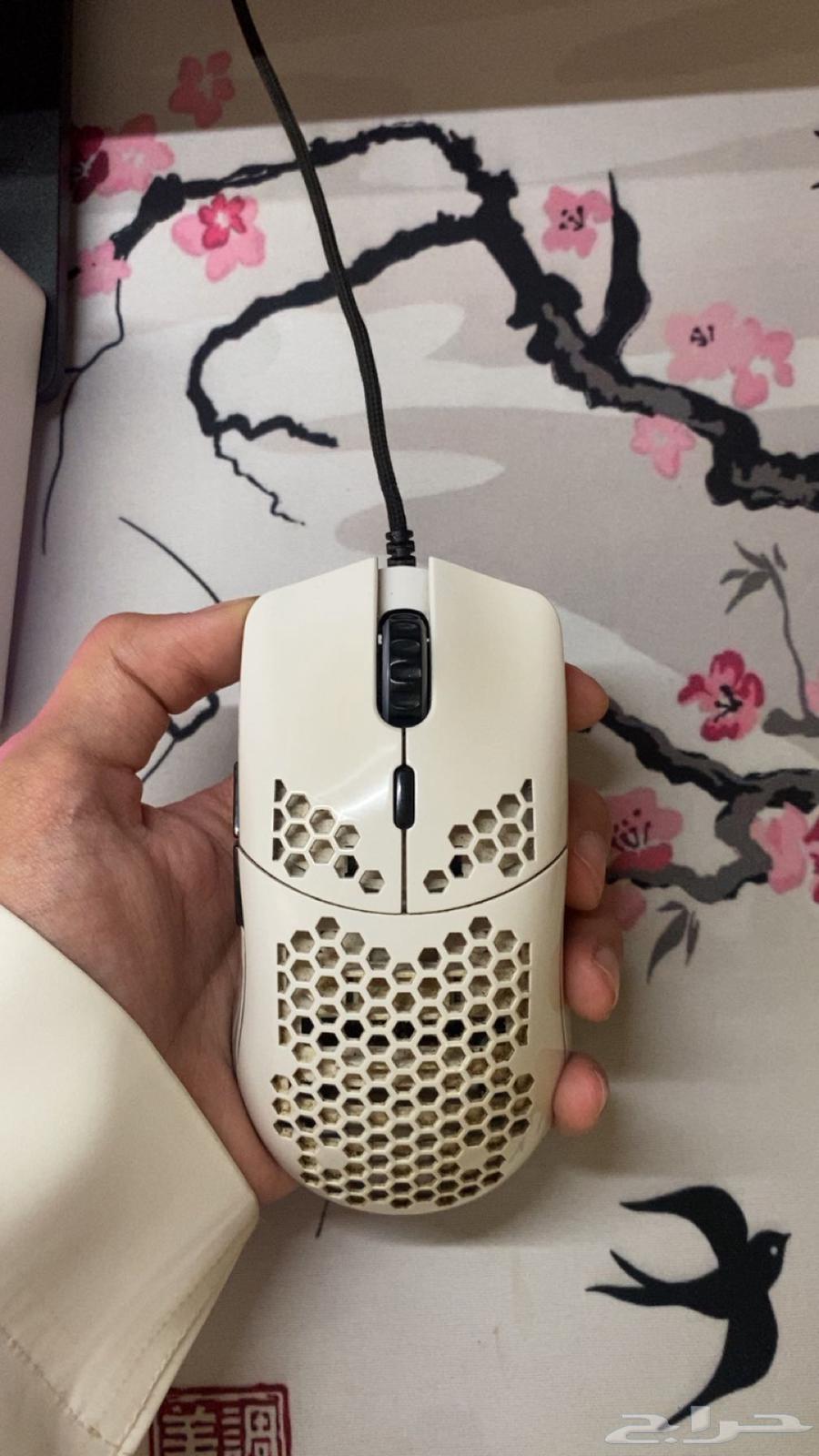 ماوس قلوريوس64428657550977111