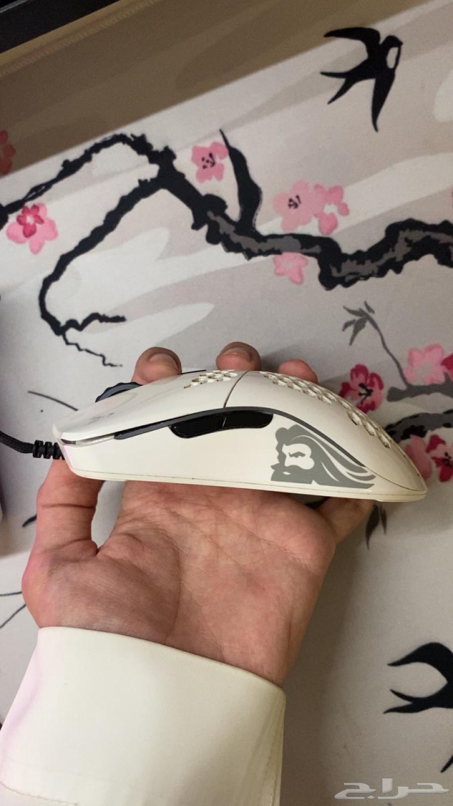 ماوس قلوريوس64428657550977110