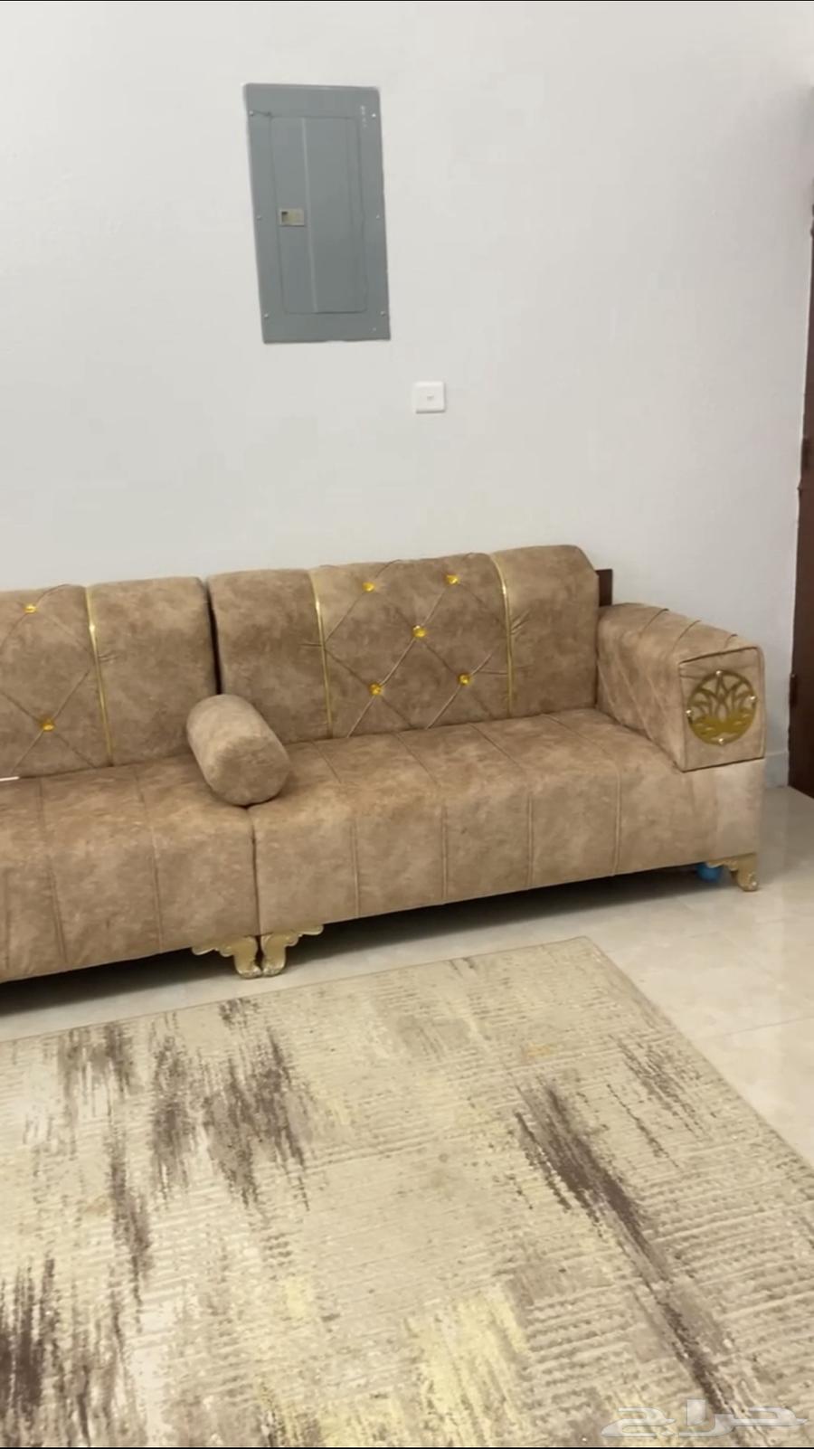 دومة الجندل64426618239619113