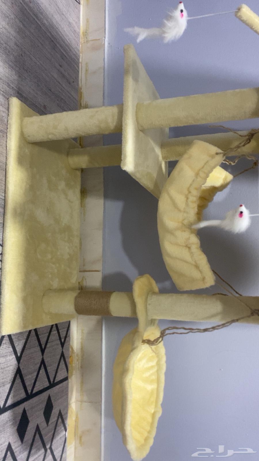 Cat tree or cat scratching post for cats64433012990594110