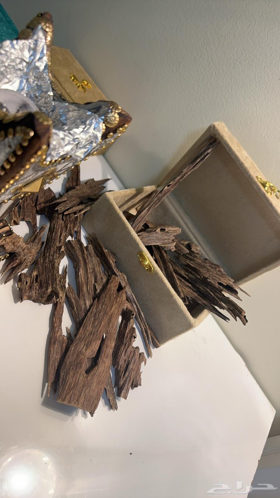 عود هندي ناجلاند64427196109186111