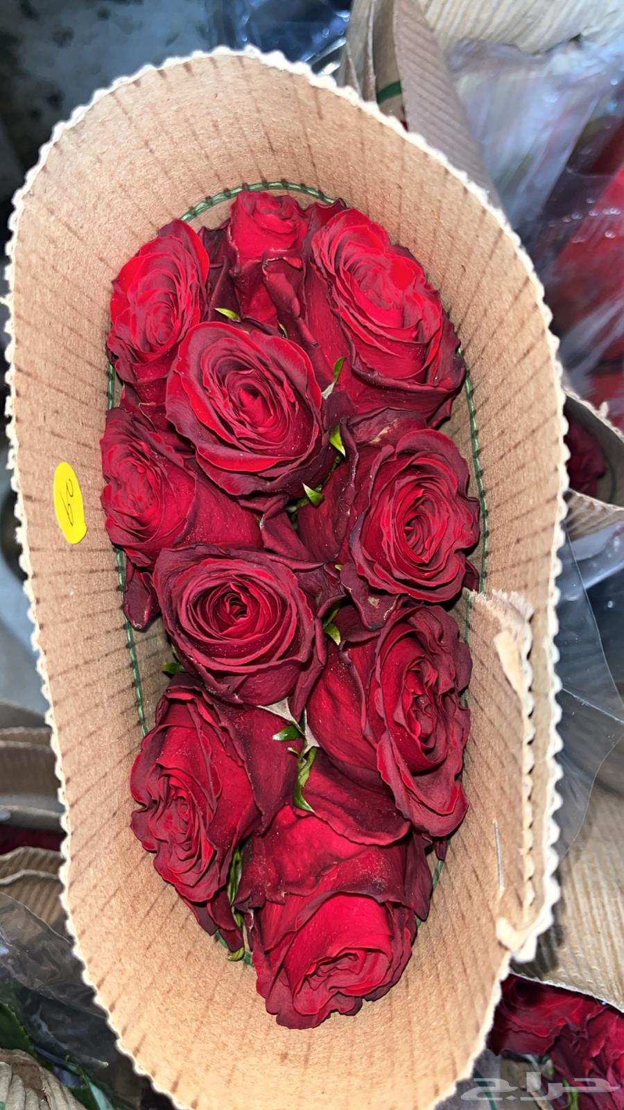 ورد طبيعي جمله وتوزيعات مناسبات64430272705153113