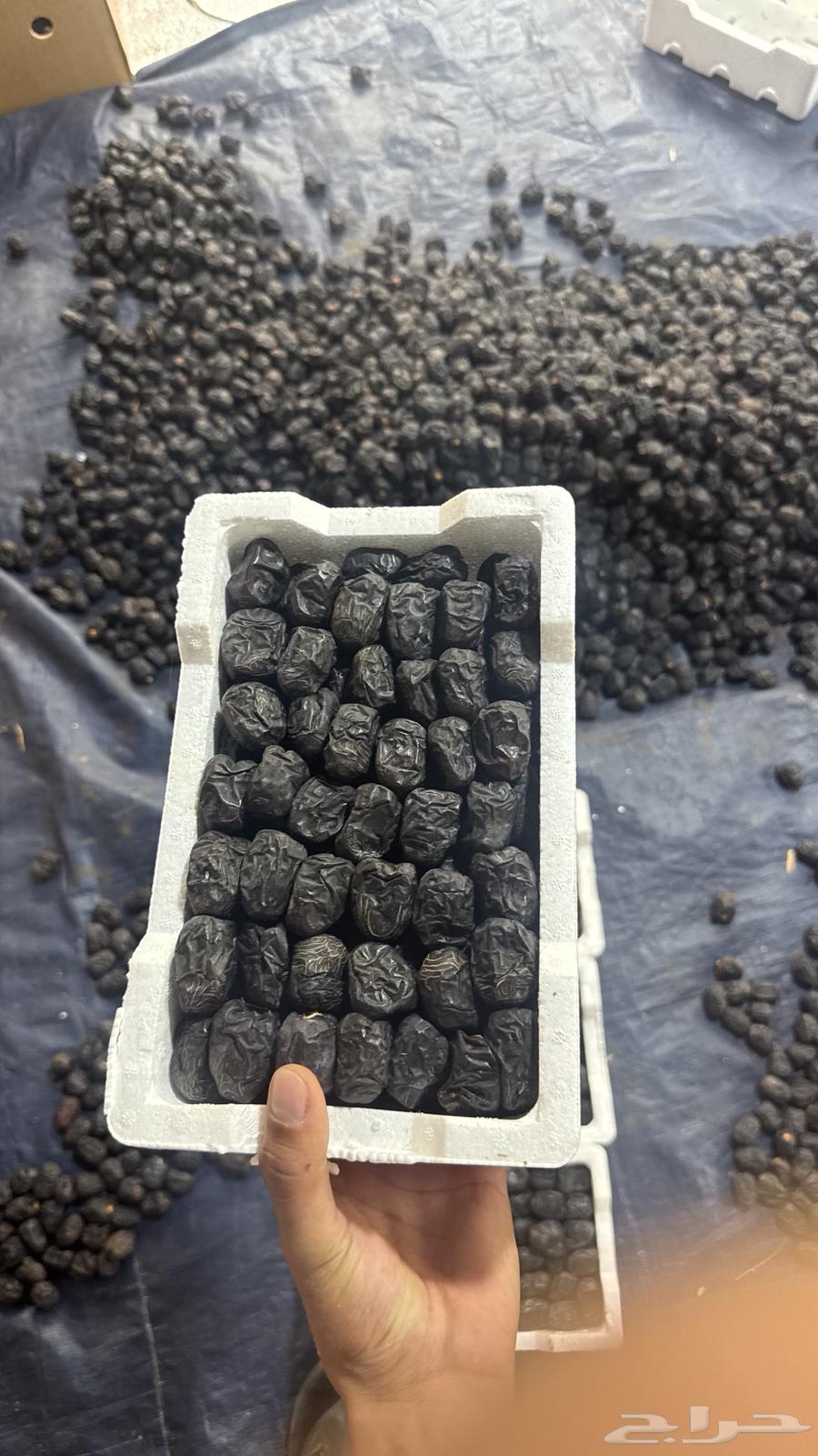 متوفر عجوة رطب فاخرة64432087866242111