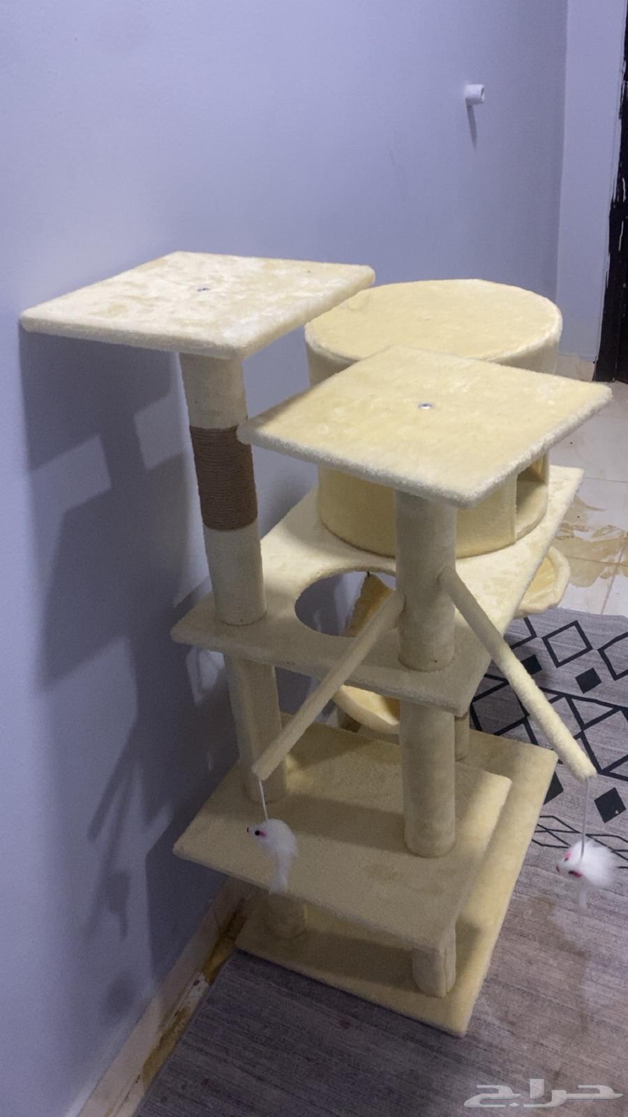 Cat tree or cat scratching post for cats64433012990594113