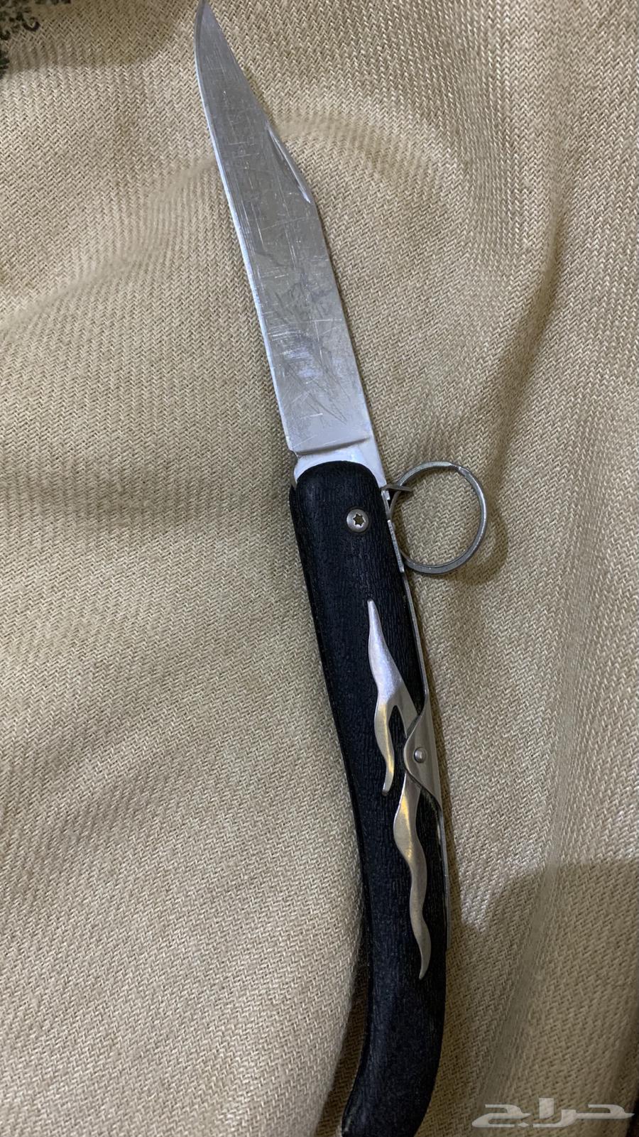 سكين ردادي كودو من شركة كولد ستيل64426268418946112