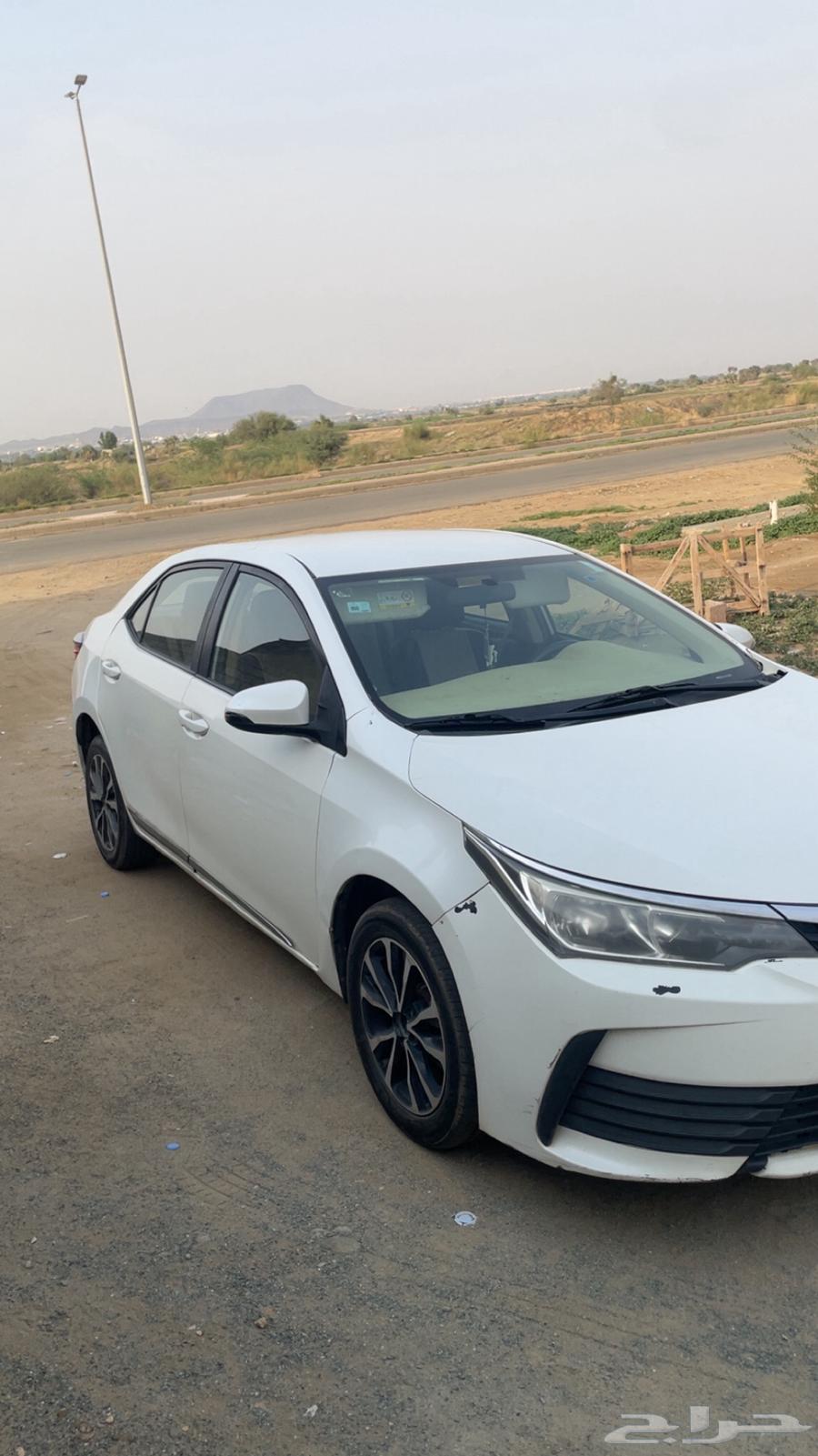 Korla Model 1864590414877953112