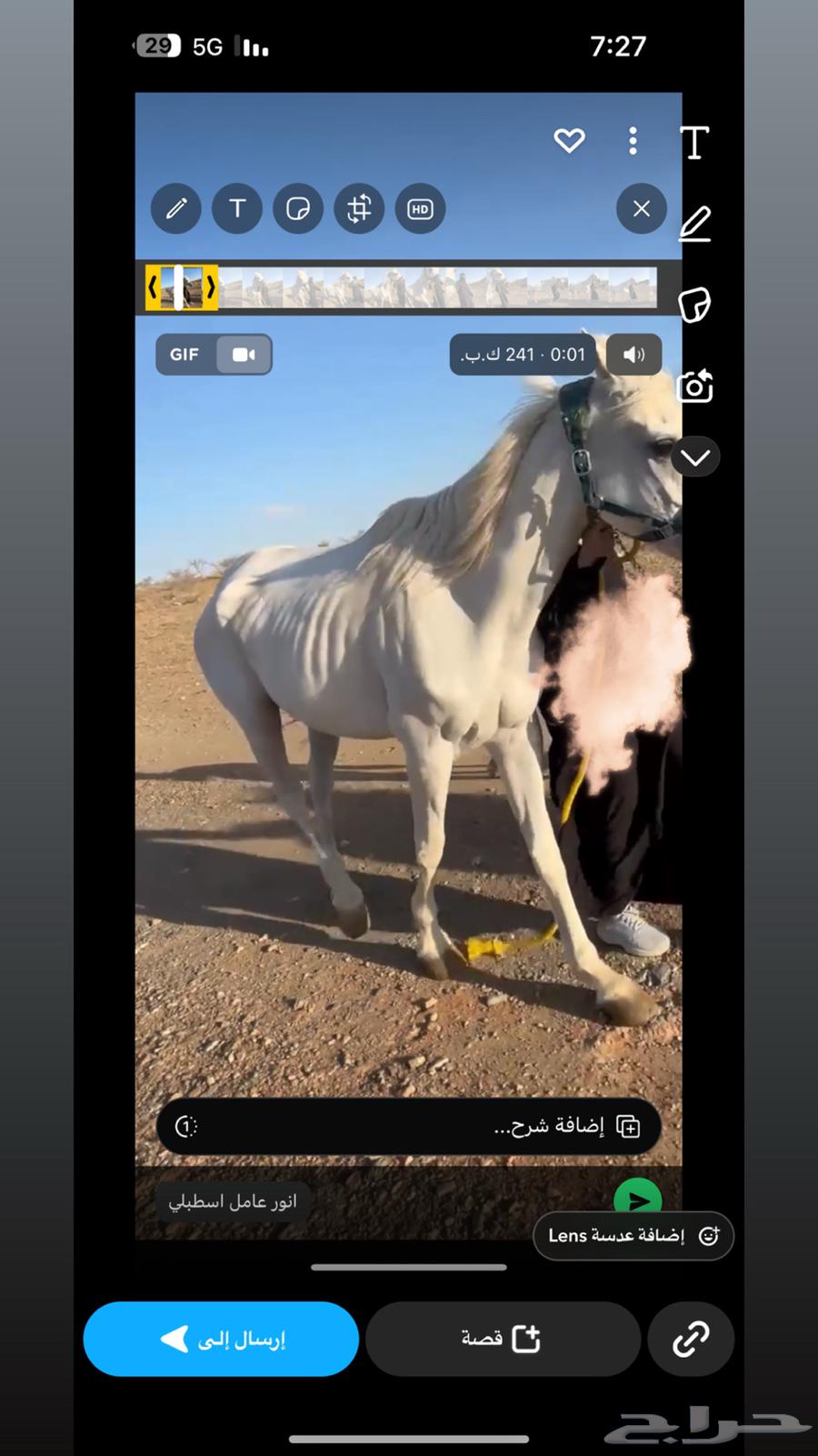 غرف اجار للخيل بسعر منافس وصحة جيده للخيل64431413069955111