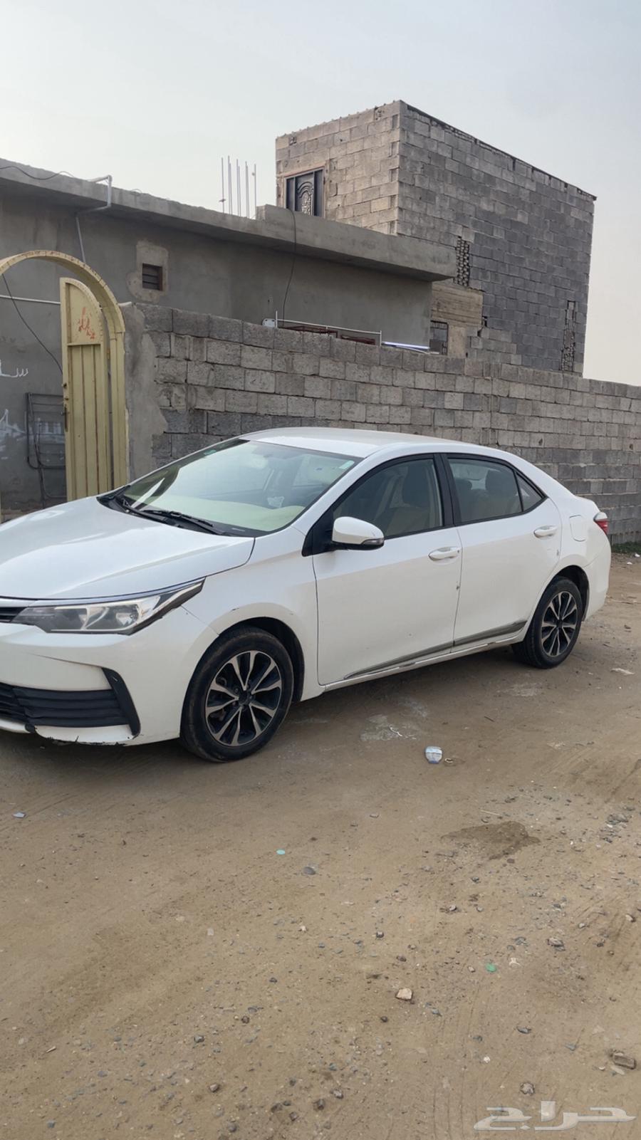 Korla Model 1864590414877953111