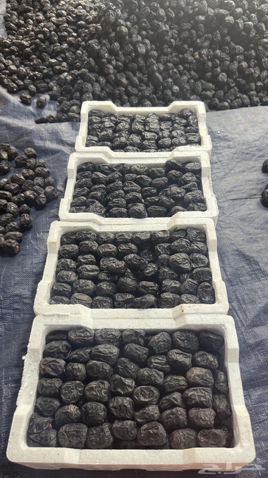 متوفر عجوة رطب فاخرة64432087866242110