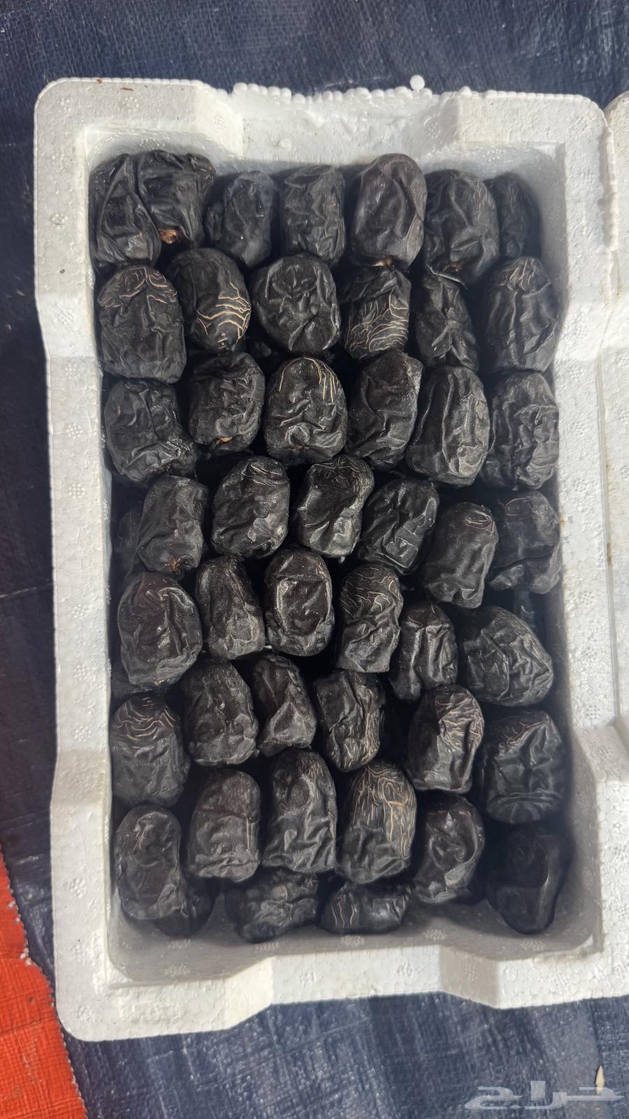 متوفر عجوة رطب فاخرة64432087866242112