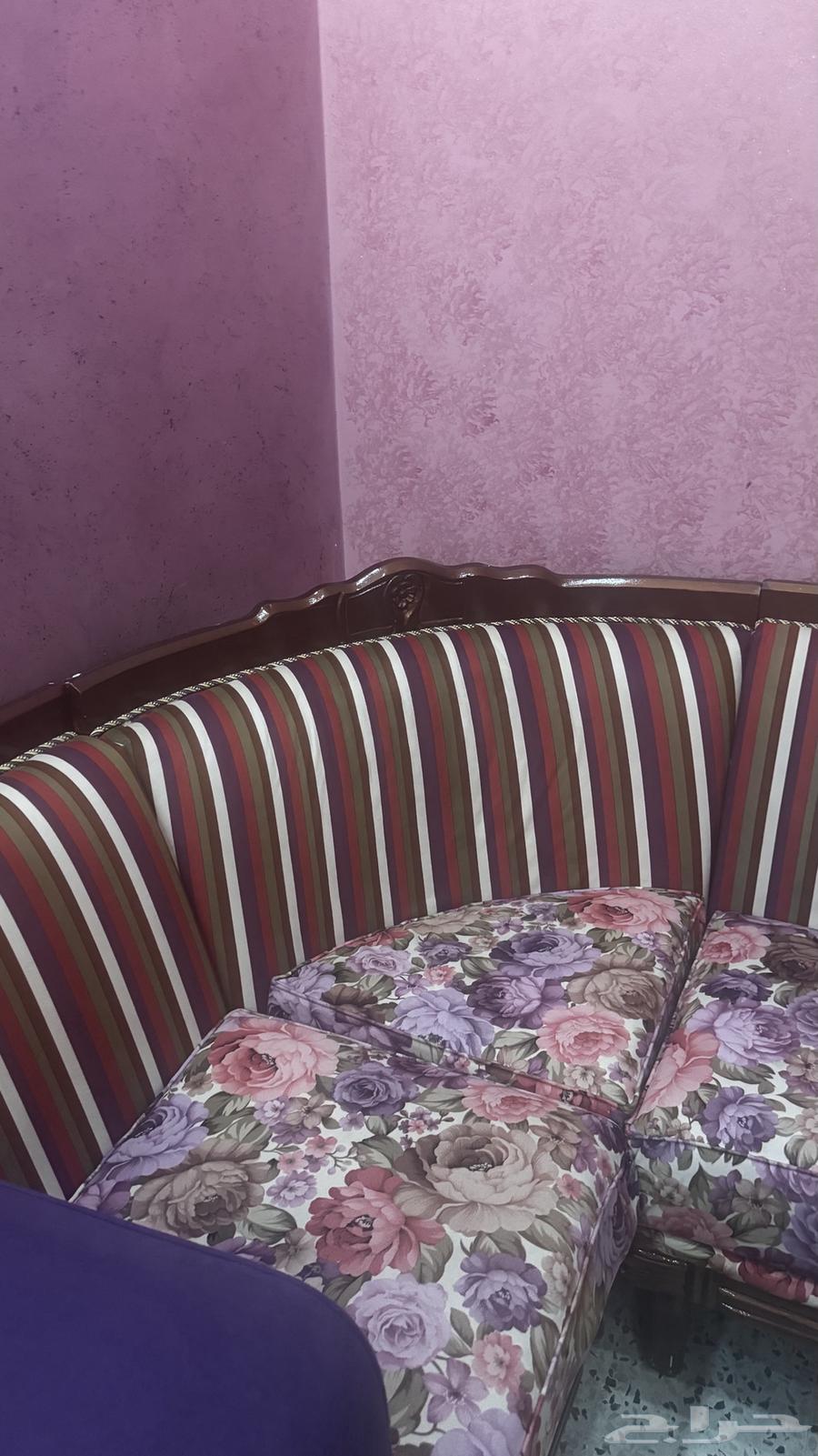 كنب64426281586690113