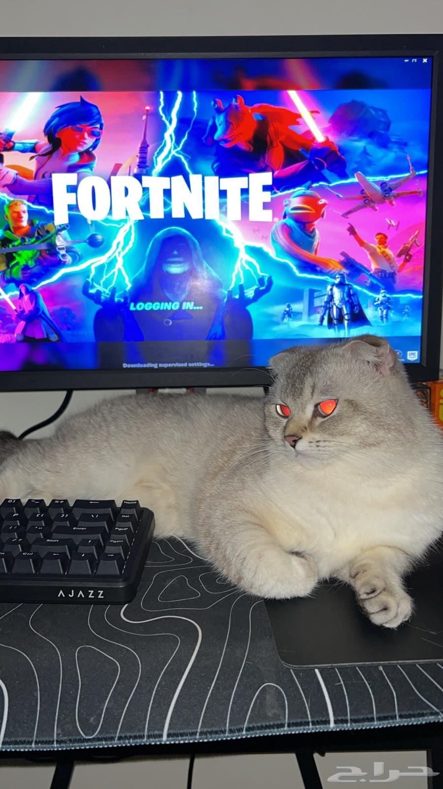 بيسي العاب من إنفني آرك64427264017025112