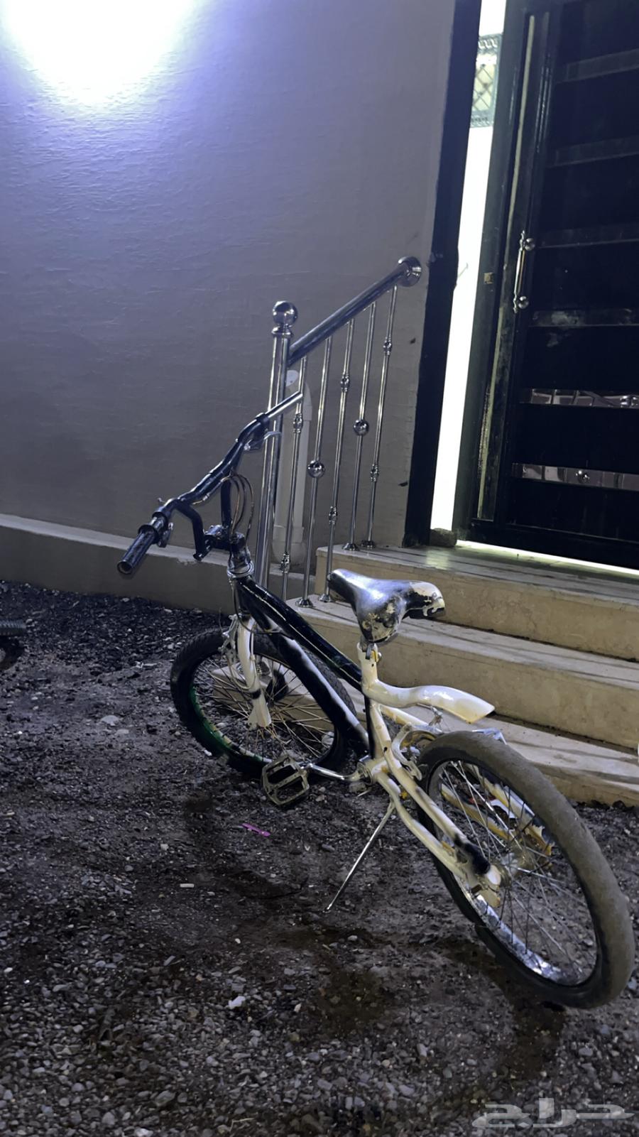 Cyclone Cobra64431869400323112