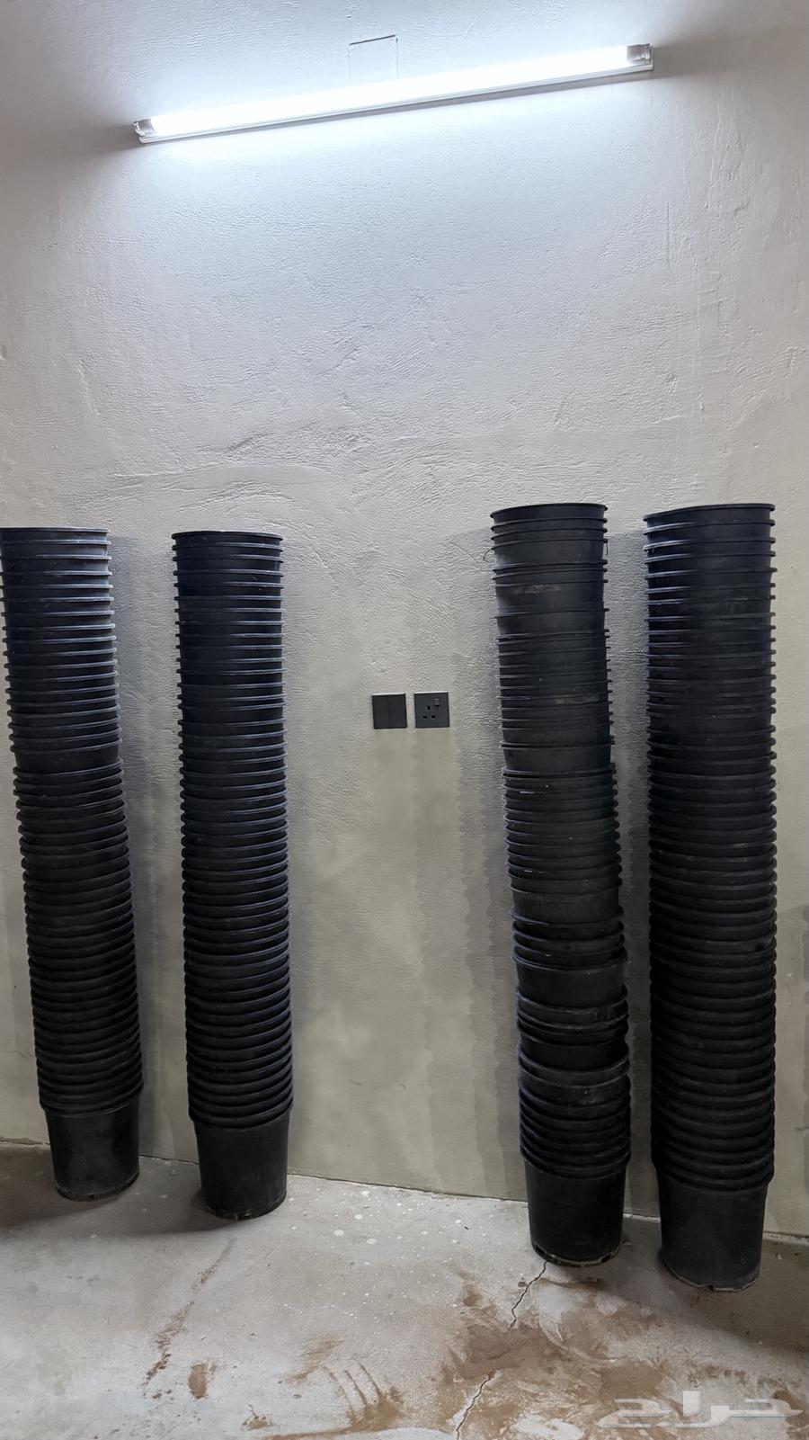 Marrakesh 20 2564431358904962110