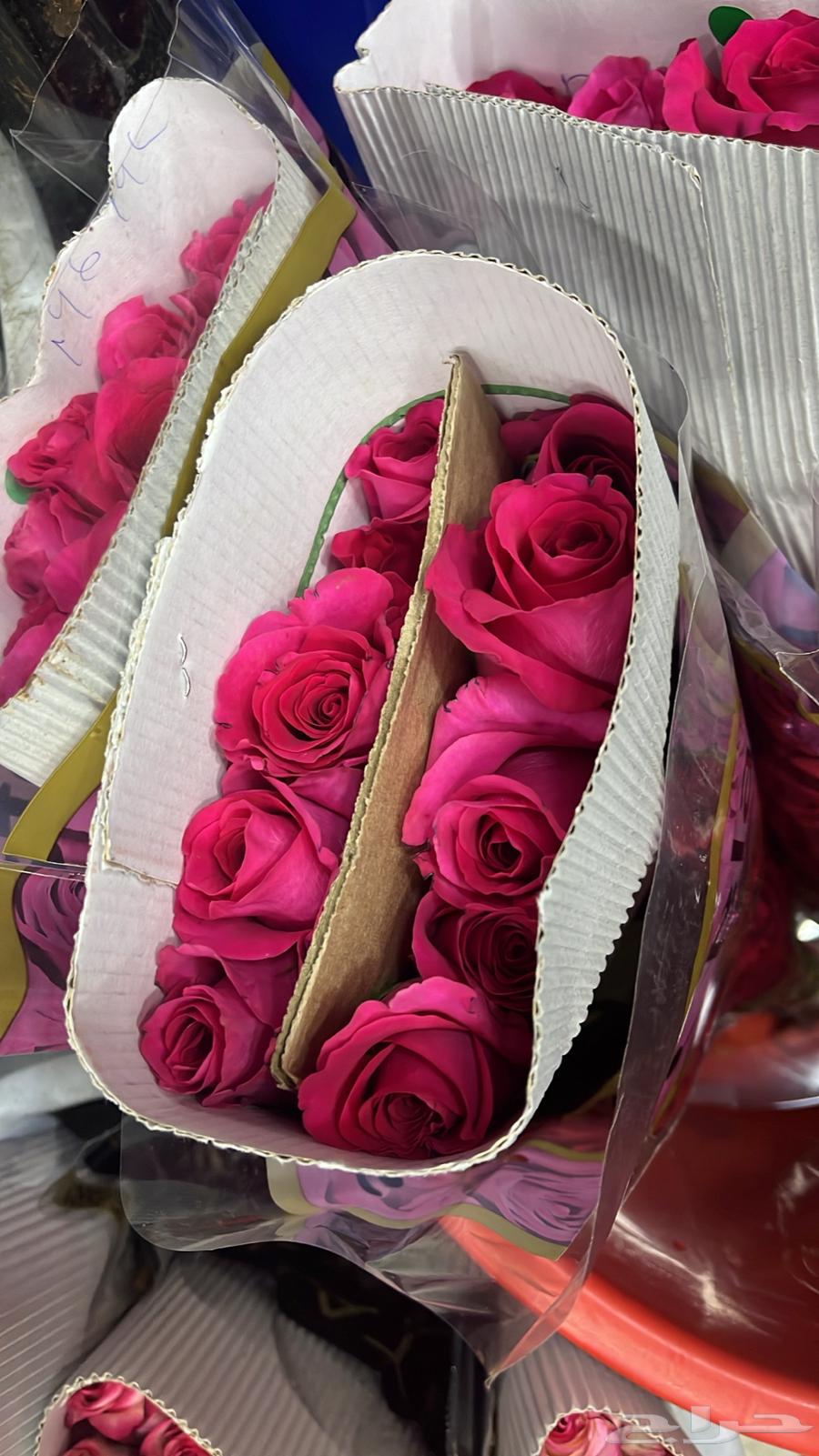 ورد طبيعي جمله وتوزيعات مناسبات64430272705153114