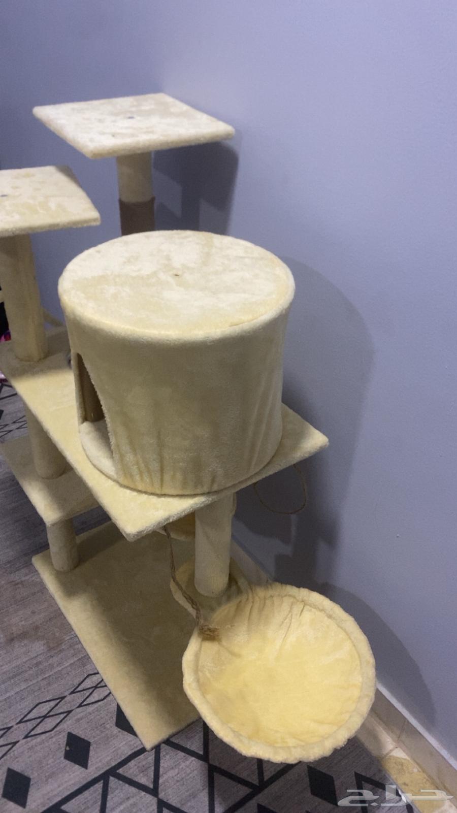 Cat tree or cat scratching post for cats64433012990594114