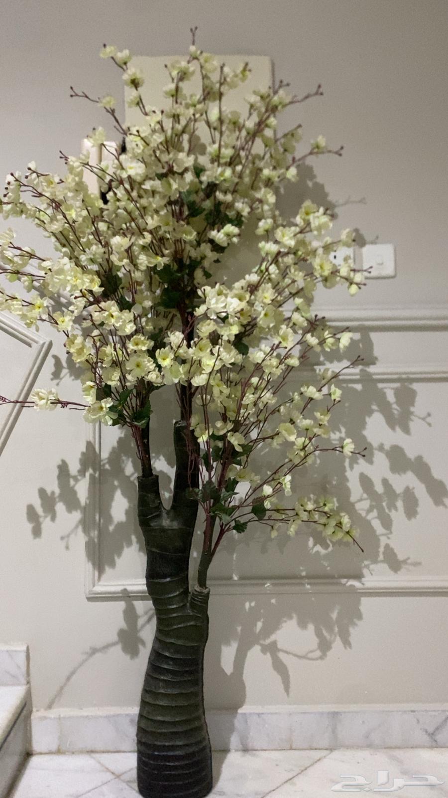 Tree64431978374657110