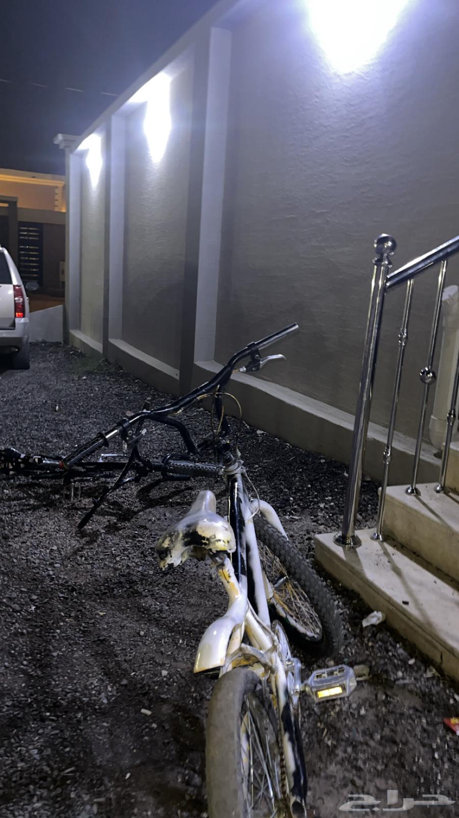 Cyclone Cobra64431869400323110