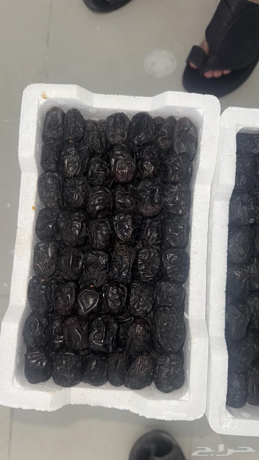 متوفر عجوة رطب فاخرة64432087866242113