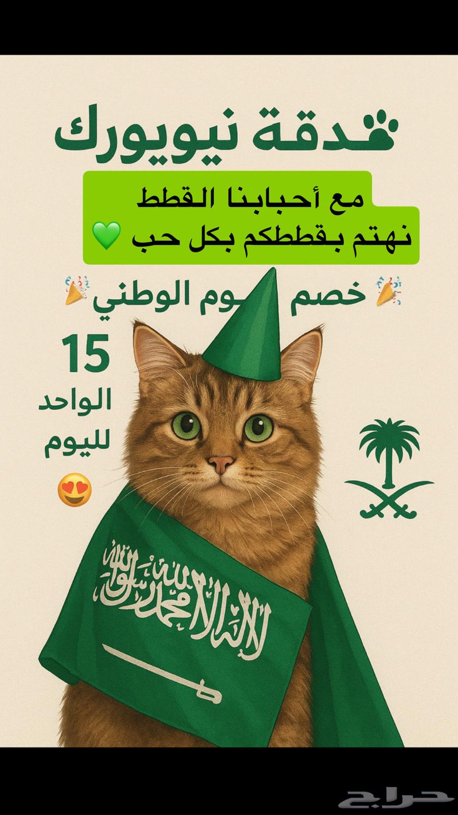 عرض فندقة ليوم الوطني64427183087746110